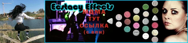 ECSTASY Богданович