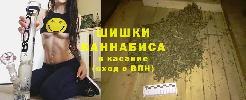 где можно купить наркотик  Бологое  Бошки Шишки SATIVA & INDICA 